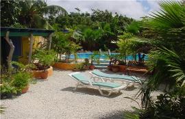 Bonaire Caribe casas de ferias - jardin officina