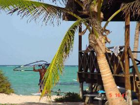 Bonaire Caribbean - Windsurfing at Lac Bay - accommodation at Coco Palm Garden